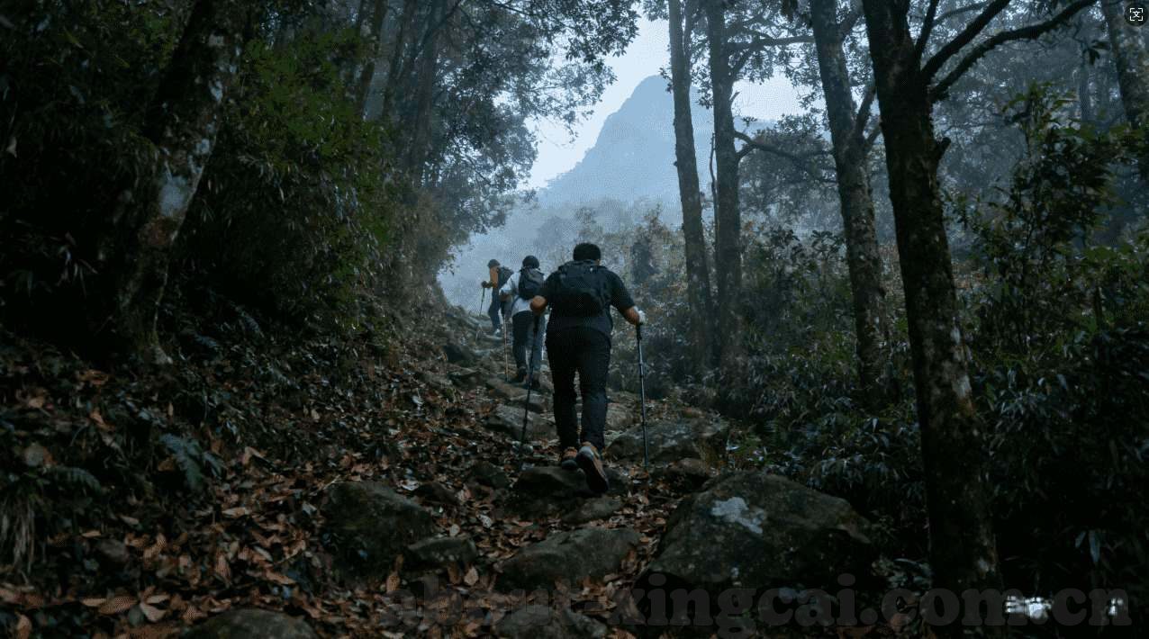 湖北体彩11选5-如何玩转湖北体彩11选5？把握技巧和策略是关键